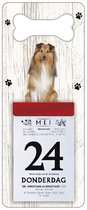 Scheurkalender 2024 Hond: Shetland Scheepdog(Sheltie)