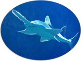 WallClassics - Dibond Ovaal - Zwaardvis in het Water - 68x51 cm Foto op Ovaal (Met Ophangsysteem)