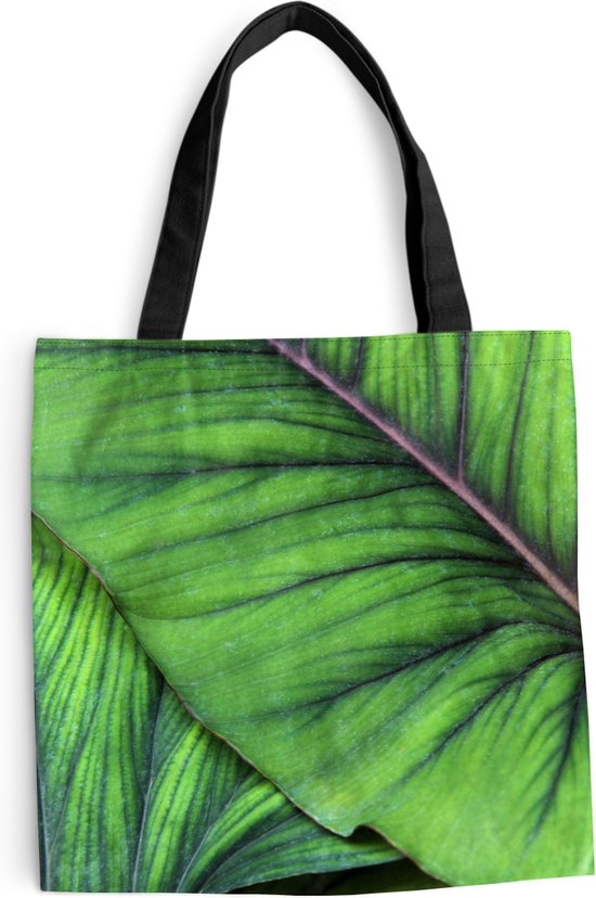 Renaiss Duschvorhang Sukkulenten-Muster – 183,9 X 183,9 Cm, Wasserdichtes Polyester, Mit 12 C-Haken, Farbenfroh