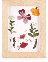 Kikkerland - Huckleberry Herbariumlijst - Buitenspeelgoed - Natuur - Hobby