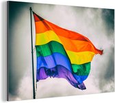 Photo d'un drapeau arc-en-ciel Aluminium 180x120 cm - Tirage photo sur Aluminium (décoration murale métal) XXL / Groot format!