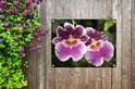 PDP.ProductImage.Thumb.Image.srtText 15