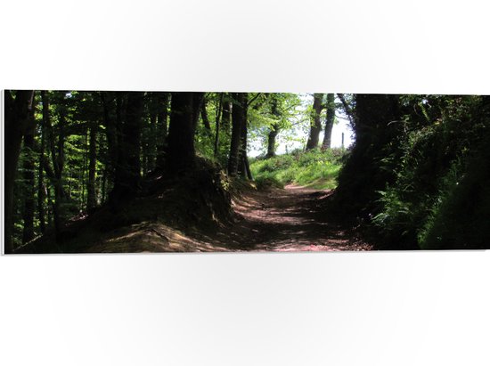 WallClassics - Panneau en mousse PVC - Chemin de sable dans la forêt - Photo 90x30 cm sur panneau en mousse PVC (avec système de suspension)