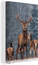 Canvas - Hert - Winter - Natuur - Wanddecoratie - Woonkamer - 20x30 cm - Schilderij hert - Canvas schilderij - Canvasdoek