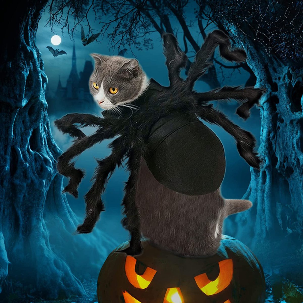 Spin Halloween kostuum huisdier