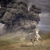The White Buffalo - Year Of The Dark Horse (LP)