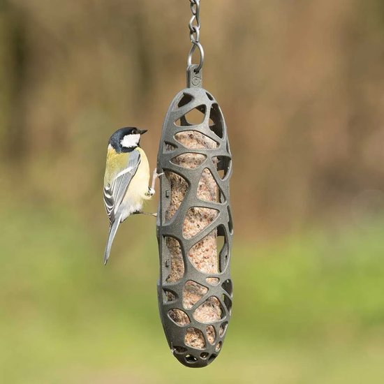 Een koolmees op een grijze, opengewerkte vogelvoederhouder gevuld met mezenbollen.