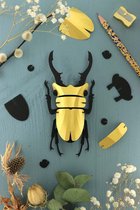 Assembli Paper Stag beetle small-Goud