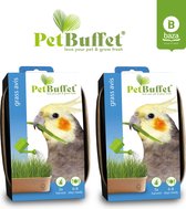 Pet-Buffet grass avis 6x gras kweken voor je vogel
