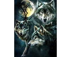 VDTOYS® DIAMOND PAINTING volwassenen - VDT002 - vierkante steentjes - full -  groot formaat - nieuwe tekeningen - 45 op 55 cm (canvas) - 40 op 50 (foto)