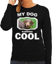 Teckel honden trui / sweater my dog is serious cool zwart - dames - Teckels liefhebber cadeau sweaters L