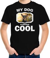 Dwergpinscher honden t-shirt my dog is serious cool zwart - kinderen - Dwergpinschers liefhebber cadeau shirt - kinderkleding / kleding 110/116