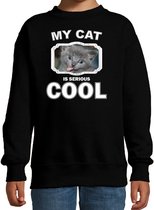 Grijze katten / poezen trui / sweater my cat is serious cool zwart - kinderen - Katten liefhebber cadeau sweaters - kinderkleding / kleding 110/116