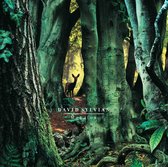 David Sylvian - Manafon (2 LP) (Reissue)