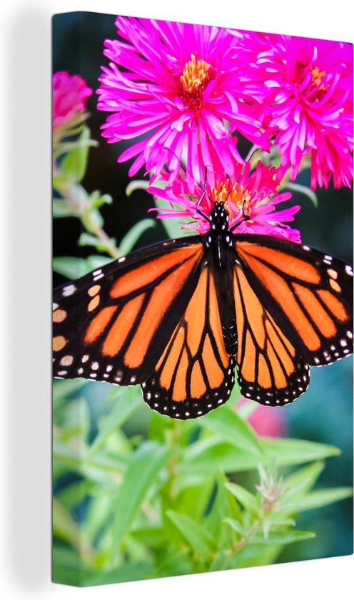 Tableau sur toile Papillon - Botanique - Fleurs - 120x180 cm - Décoration murale XXL