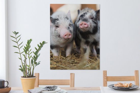Canvas schilderij 60x80 cm - Wanddecoratie Varken - Dieren - Varkentje - Muurdecoratie woonkamer - Slaapkamer decoratie - Kamer accessoires - Schilderijen