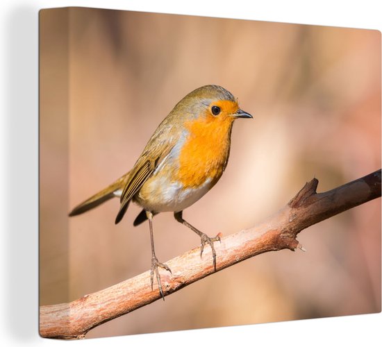 Tableau sur toile Vogel - Branche - Rouge-gorge - 120x90 cm - Décoration murale