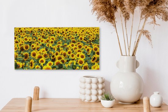 Tableau sur toile Tournesol - Fleurs - Nature - 40x20 cm - Décoration murale