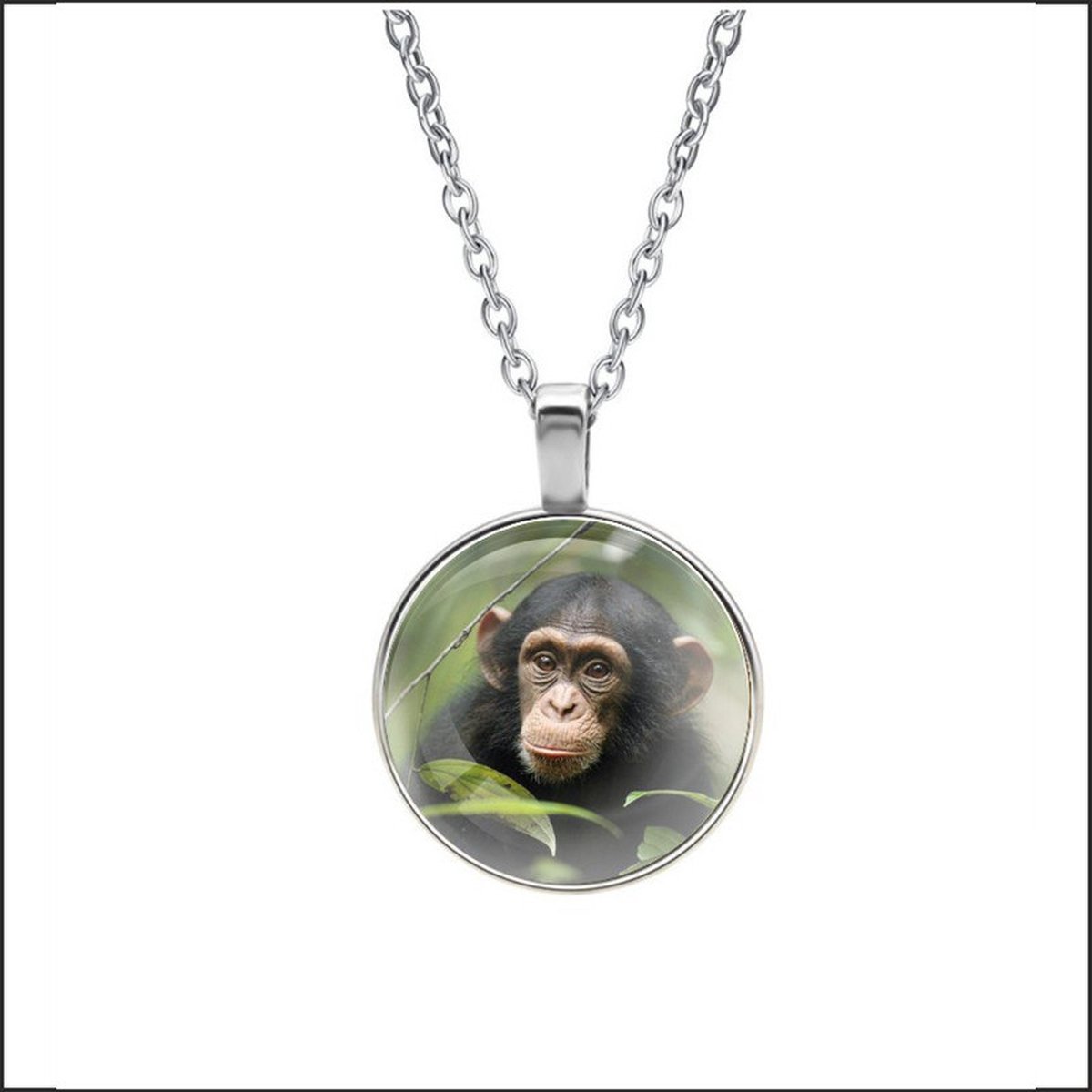 Ketting Glas - Aap