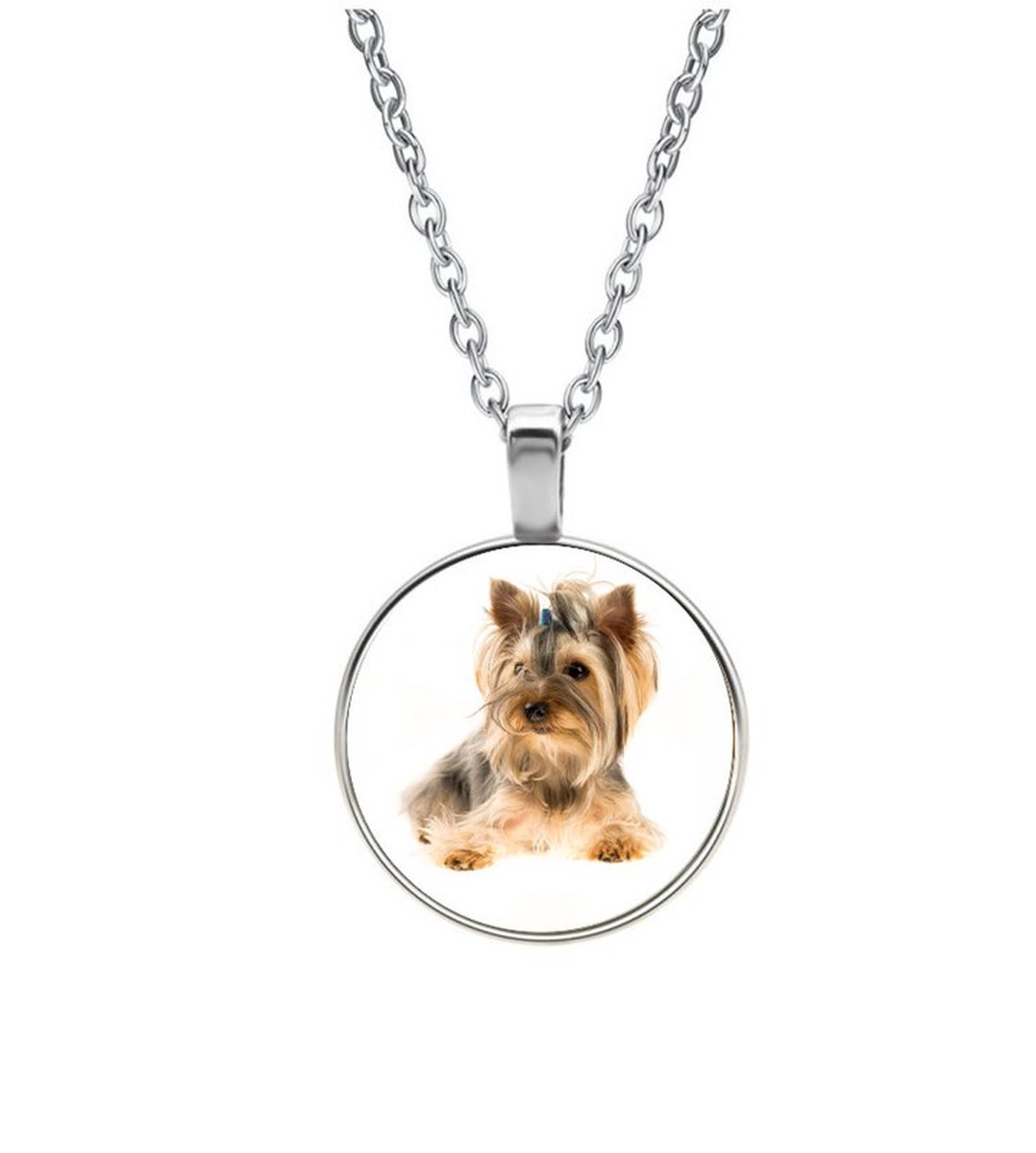 Ketting Glas - Hond