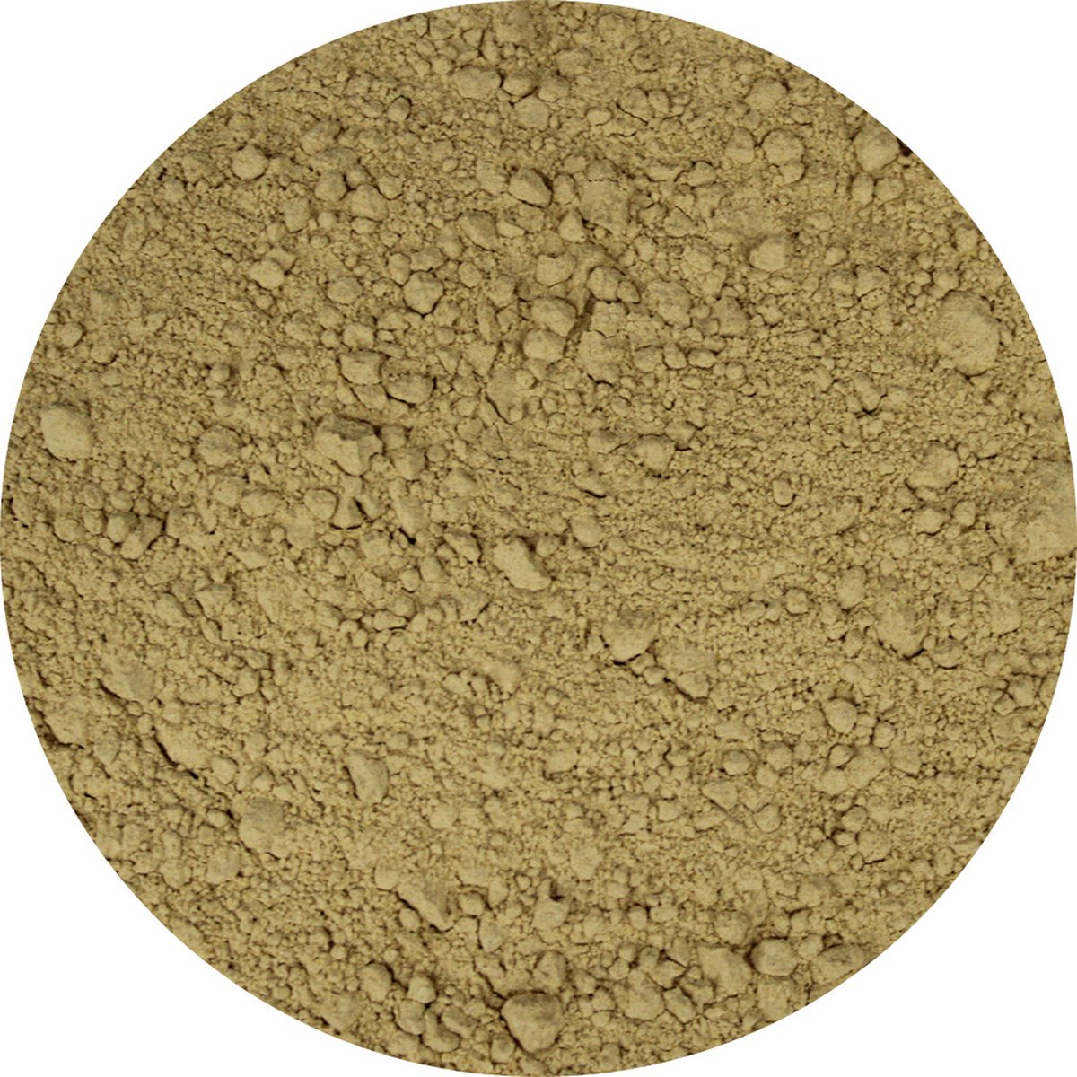 Goedkoopste Van Beekum Specerijen - Uienpoeder Geroosterd - 25 KG - Doos (bulk verpakking