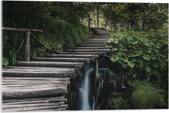 WallClassics - Verre Acrylique - Escaliers en Bois dans les Forêts - 75x50 cm Photo sur Verre Acrylique (avec système de suspension)