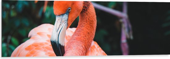 WallClassics - Dibond - Mooie Roze Flamingo - 120x40 cm Foto op Aluminium (Met Ophangsysteem)