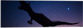 WallClassics - Acrylglas - Silhouette van een Dinosaurus in de Nacht - 90x30 cm Foto op Acrylglas (Met Ophangsysteem)