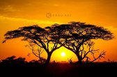 Schilderij - Zonsondergang in Afrika , 3 maten , Oranje zwart , Wanddecoratie