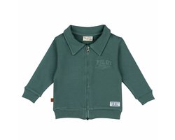 Frogs and Dogs - Pilot Club Baby Zipped Sweater | Sea Pine - Katoen - Maat 50/56