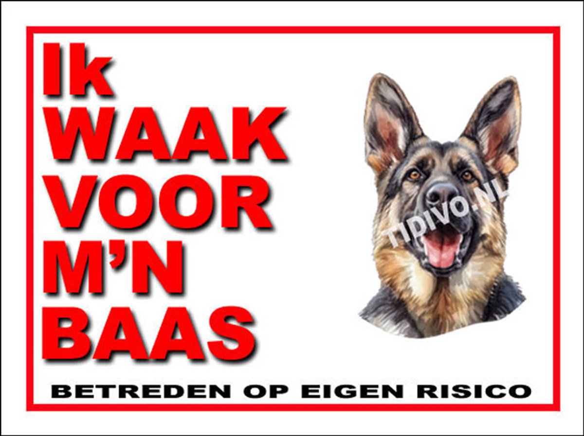 King Shepherd 9