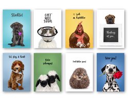 Dieren - Beterschap kaartenset met dieren thema - 8 wenskaarten met envelop