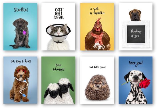 Greetz - Beterschap Kaartenset - Wenskaarten (8x) Inclusief Enveloppen - Dieren Thema