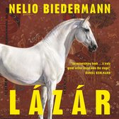 Digitaal luisterboek