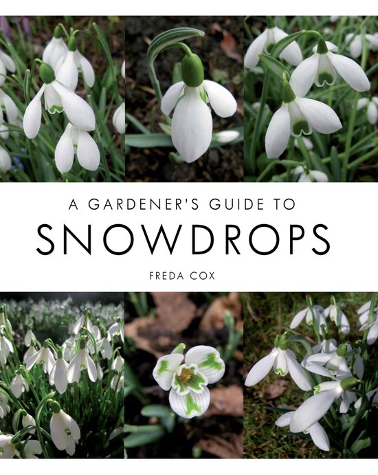 Gardener's Guide to Snowdrops - cover