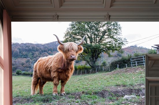 Peel & stick Fotobehang - Majestic Highland Serenity - 250x200 centimeter