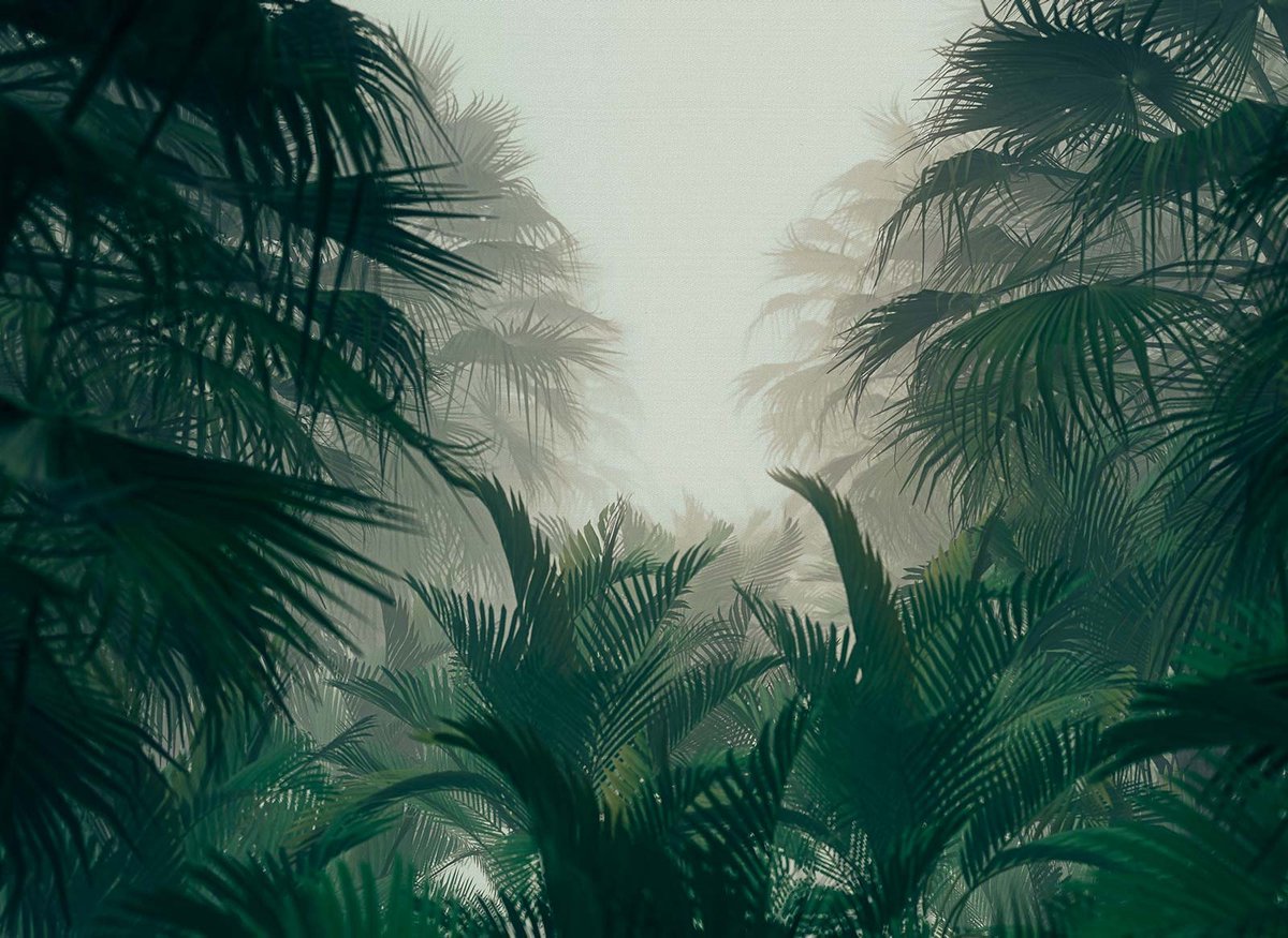 Fototapete Designwalls 2 DD123486 PalmForest