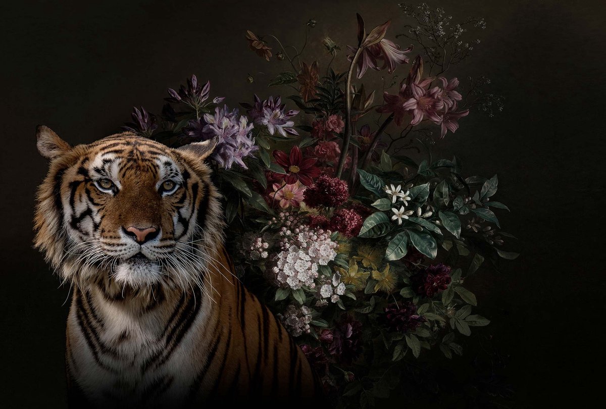 Fotobehang wildlife 1 DD110616 Livingwalls Walls by Patel | 3D Fotobehang