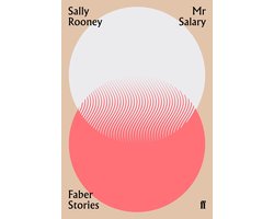 Omslag van Mr Salary