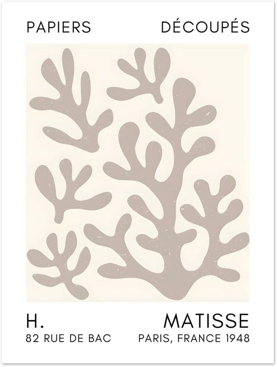 Matisse – Affiche grise Ombres Coral 30x40 cm