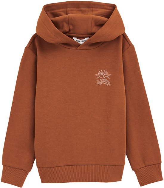 Sweat à capuche WE Fashion Garçons avec broderie