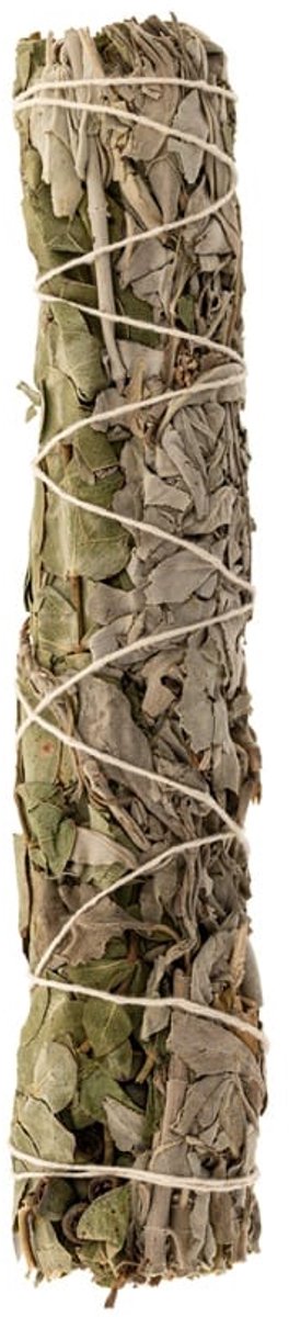 Witte salie Eucalyptus Kruidenbundel