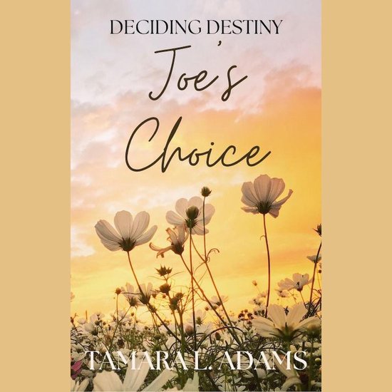 Deciding Destiny: Joe's Choice - cover