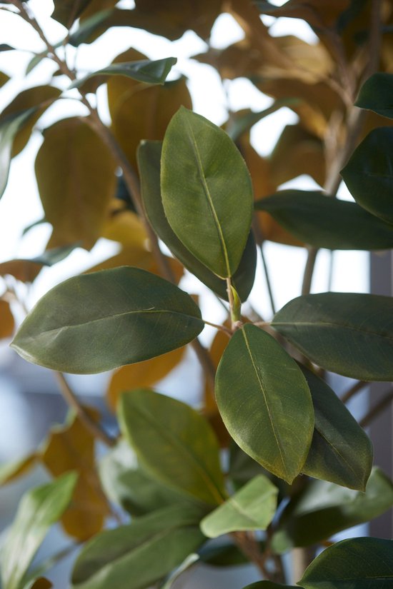 Emerald - Arbre artificiel Magnolia Denudata 150cm - Plantes artificielles pour l'intérieur