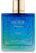 Rayhaan Aquatica, Eau de Parfum - 100ml | bol