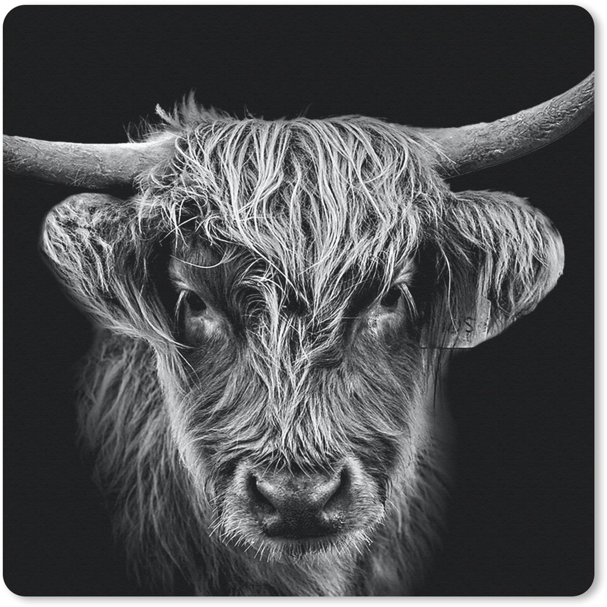 Muismat 20x20 cm - Mousepad Schotse hooglander - Zwart - Koe - Dieren - Muismatten