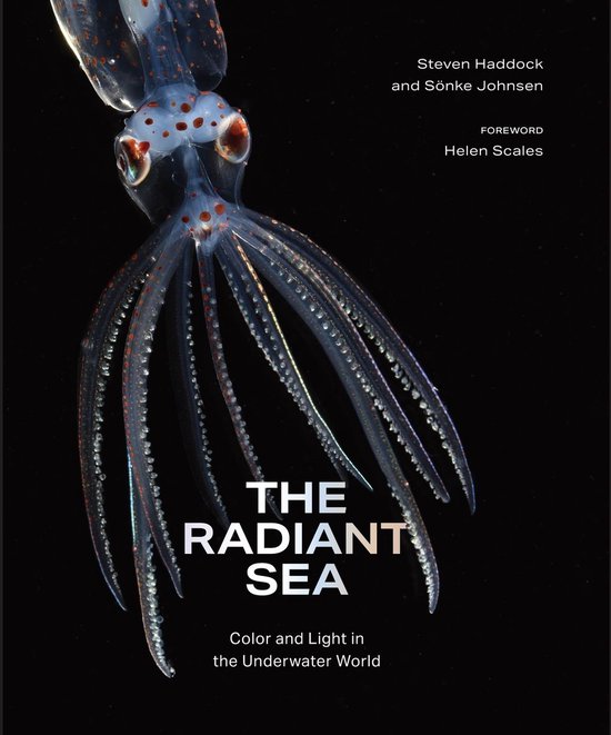 The Radiant Sea - cover
