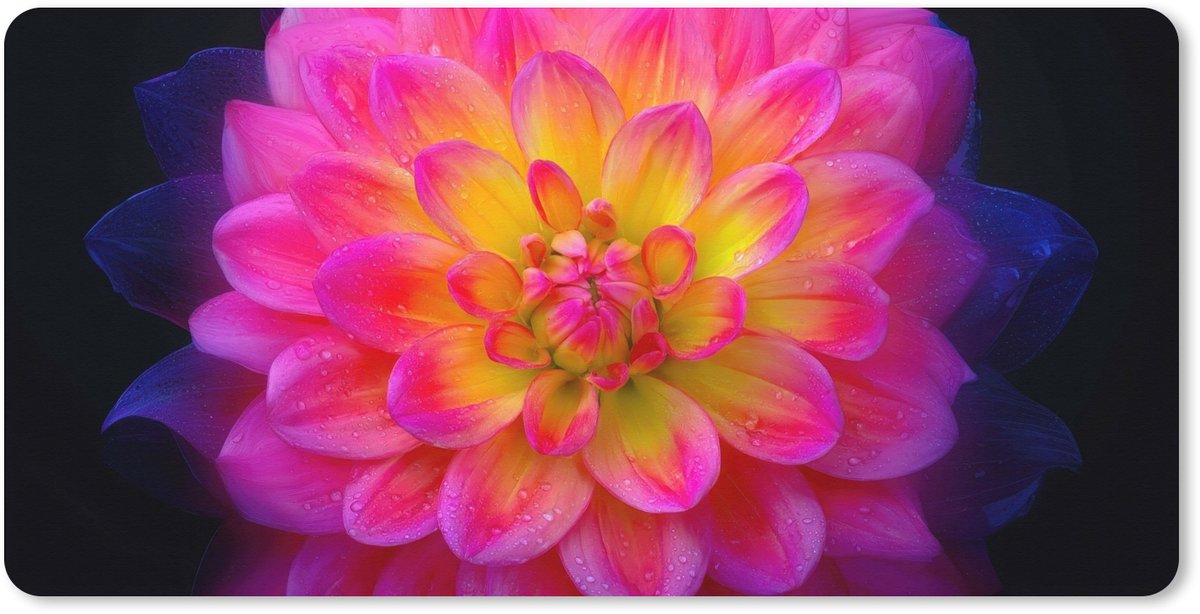 Muismat XXL 90x45 cm - Bureau onderlegger - Bureau mat Roze - Dahlia - Kleurrijk - Bureaumat - Gaming mousepad xl - Bureaulegger groot - Computer deskmat