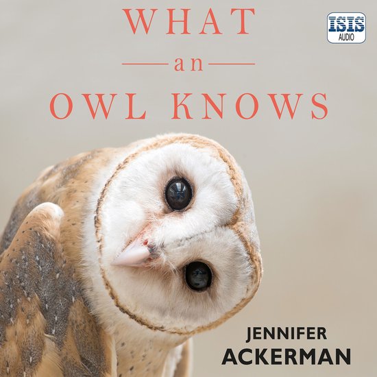 What an Owl Knows - cover