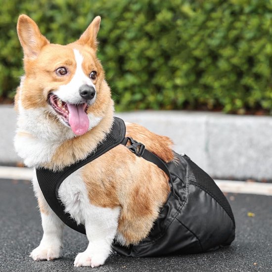 Hondensleeptas - Alternatieve hondenrolstoel - Hondenbeschermende tas - Slijtvast - Ademend voor gehandicapte honden - Verlamde achterpoten — afbeelding 2